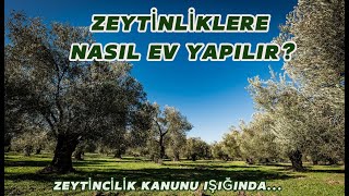 ZEYTİNLİK LERDE NASIL EV YAPARIM İMAR DURUMU NASILDIR [upl. by Agler]