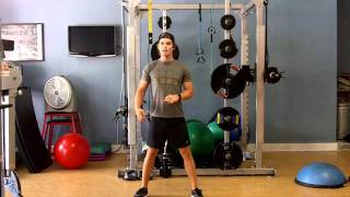 Surf Workout  Stability Ball Lunge [upl. by Craw521]