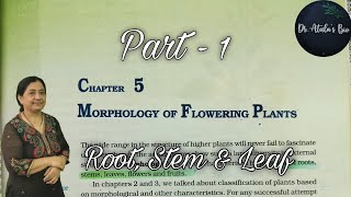 Morphology of flowering plants  Part 1  Class 11 Biology  NCERT NEET [upl. by Nepil587]