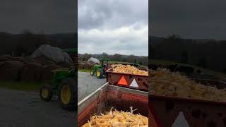 Let’s see if this is going to work Pulling three wagon train in the barncorn familyfarm farming [upl. by Avla]