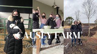 Week 4 in Ireland  Causey Farm Girley Bog and The Academy [upl. by Ahsea]