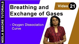 Breathing and Exchange of Gases  NEET  Oxygen Dissociation Curve  Neela Bakore Tutorials [upl. by Naneik544]