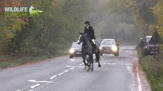 Hampshire Hunt  Causing Road Havoc [upl. by Dikmen]