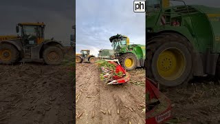 John Deere 9900i Forage Harvester on Maize Silage shorts agriculture china cropmanagement [upl. by Nallac]