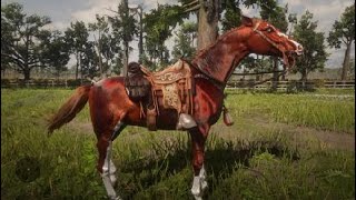 The Most Beautiful horses in RDR2 online perlino at 245 [upl. by Remot231]