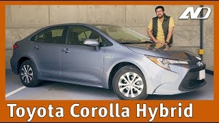 Toyota Corolla Híbrido ⭐️  Sorprendente evolución y el mejor híbrido por el precio [upl. by Raseda]