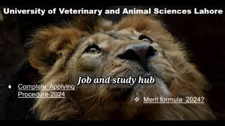 University of veterinary and animal sciences lahore dvm universities in lahoreuvas lahore [upl. by Ryon975]