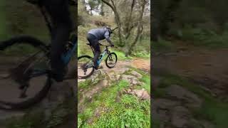 Having Fun In The Woods  Mondraker Foxy Carbon RR [upl. by Forster584]