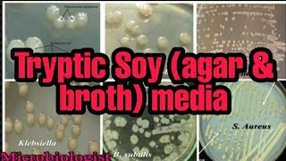 Tryptic Soy Agar amp broth media culture media lecture 5 [upl. by Levy712]