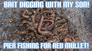 Ragworm Digging Plus Pier Fishing At The Harbour  Sea Fishing UK [upl. by Nahte]