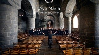 Schola Cantorum  Ave Maria Bruckner [upl. by Oremar]