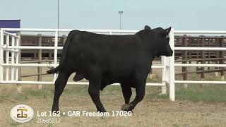 Lot 162 G A R Freedom 1702G [upl. by Ealasaid]