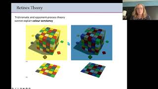 Biopsychology  Colour theories [upl. by Notlem]