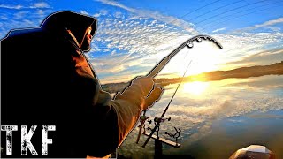 CATFISHING FOR DUMMIES  Easy Steps To Catch Catfish FAST [upl. by Marino638]