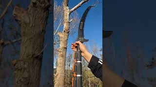 You can stand down from this argestable saw and cut down a tall tree shortvideo [upl. by Coralyn301]