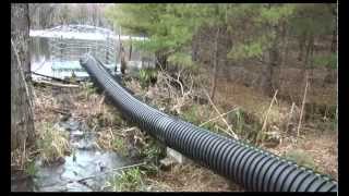 Timelapse of Beaver Pond Pond Leveler Installation [upl. by Anairda]