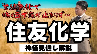 【株価急落】住友化学（4005）の株価見通し解説2022年度個人株主増加数ランキング第16位 [upl. by Danie644]