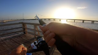 Pier Fishing on an Island Alabama Coast Trip Pt 1 [upl. by Spark616]