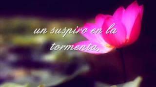 Alejandro Sanz  Y Si Fuera Ella lyrics [upl. by Yenobe]