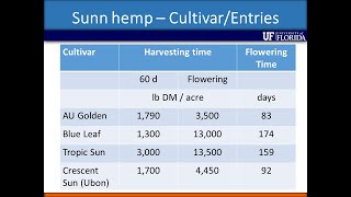 2 Update on Sunn Hemp Management in Florida [upl. by Dempstor351]