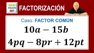 Caso 1 de factorización factor común [upl. by Jobina663]