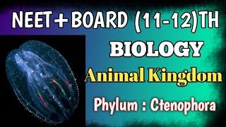 Phylum Ctenophora 👉🏻 Animal Kingdom education biology 11th [upl. by Liahkim245]