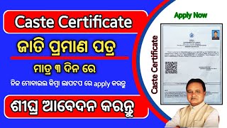 How to apply caste certificate in odisha  scheduled caste certificate online apply 2024 Odia [upl. by Natascha713]