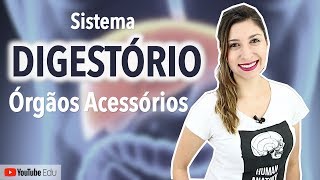 Sistema Digestório 45 Fígado Vesícula Biliar e Pâncreas  Anatomia etc [upl. by Tharp990]