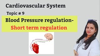 Short term regulation of blood pressure [upl. by Pietra237]