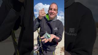 MULINELLI da SURFCASTING con RobertoAccardi [upl. by Cherida]