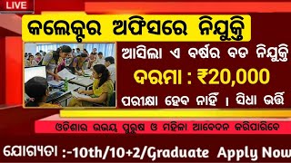 Collector Office New Recruitment 2024 Odisha  Odisha Free Job Alert 2024  Odisha Job Updates [upl. by Brittany]