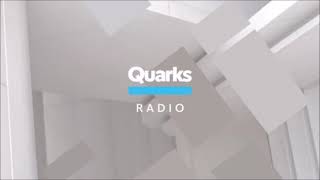 Falsche Erinnerung Quarks Radio WDR 5 25032024 [upl. by Eedyak]