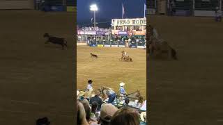 Reno Rodeo 2024 Calf Roping rodeo [upl. by Asi]