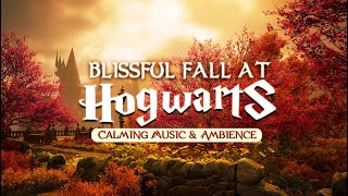 Autumn at Hogwarts  Calming Harry Potter Music amp Cozy Fall Ambience relax study [upl. by Ttezil]