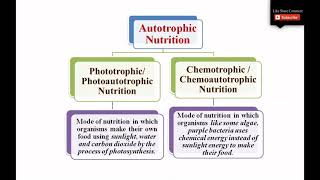 Autotrophic Nutrition and its types  Photoautotrophic Nutrition and Chemoautotrophic Nutrition [upl. by Assennev]