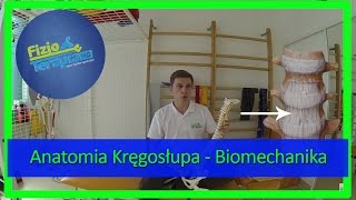 Anatomia Kręgosłupa  Biomechanika 6 FizjoTerapia HD [upl. by Deedee517]