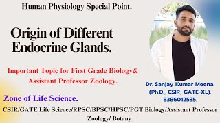 Origin of Different Endocrine lands PGT BIOLOGY CSIRGATERPSCMPPSCHPSCBPSC  ZOOLOGYNEET [upl. by Aivitnahs]