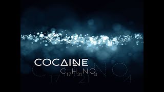 Dj Hasan Can  Cocaine [upl. by Anirbac]