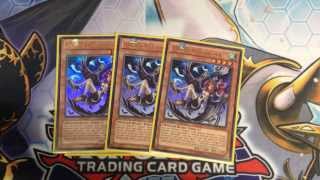 Harpie Lady Yugioh Deck Profile February 2014 [upl. by Aetnahs]