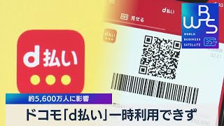 ドコモ「d払い」一時利用できず 約5600万人に影響【WBS】（2023年11月15日） [upl. by Zabrine]