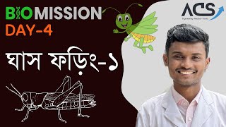 ঘাস ফড়িং১  BioMission 30  Day4 with HasnatShuvro [upl. by Uzziel]