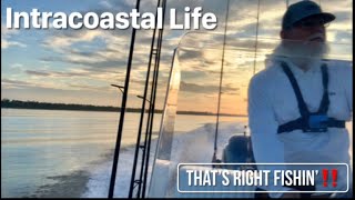 Intracoastal Living in Pensacola fishing newfishingvideos2024 pensacola [upl. by Elolcin248]