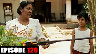 Swarnapaali ස්වර්ණපාලි  Episode 120 23rd January 2023 [upl. by Esirahs]