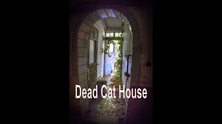 Dead Cat House [upl. by Janos]