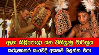 ඇඟ කිළිපොලා යන බිහිසුණු චාරිත්‍රය  Bullet Ant Ritual  Satere Mawe tribe [upl. by Garret495]