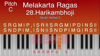 Learn Music Online  Harikambhoji vocalwarmup  carnaticmusic  keyboard music Sarali varisai 5 [upl. by Arleen]