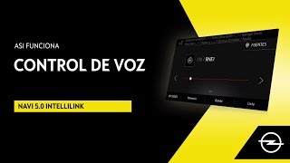 Navi 50 IntelliLink  Control por Voz [upl. by Nolham]