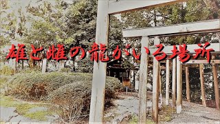 【龍神伝説】が残る最古の厄除観音 松尾観音寺を訪れる [upl. by Ynahteb]