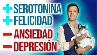 7 formas de subir la serotonina naturalmente y reducir la Ansiedad la Depresión y el Estrés [upl. by Nnair]