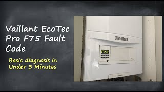 Vaillant EcoTec F75 Fault Code  Basic Diagnosis in 3 Minutes [upl. by Sirovat]